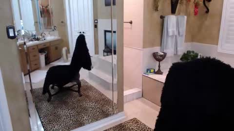 Trophy Wifey  iframe src height528 width850 s online show from 02.19.26