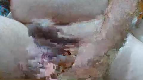 troy1965 online show from 02.23.26