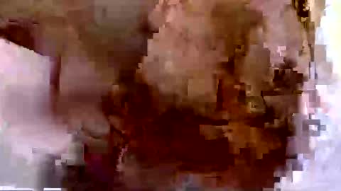 troy1965 online show from 04.10.26