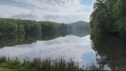 Treistoph online show from 02.21.26