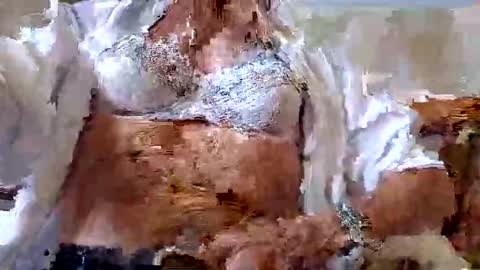 FINN but call me NANNA online show from 09.09.25