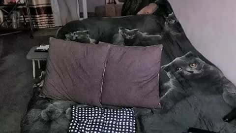 Lana online show from 03.20.26