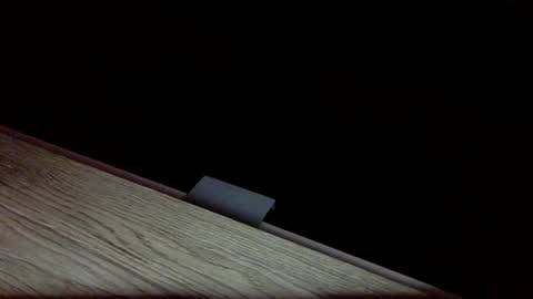 tvstefanie1 online show from 12.01.24