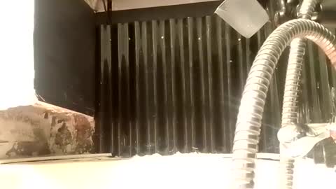 Snapshot of tweak_n_throb chatting on 01.09.25 Tweaking Masturbation Addict online show from 01.09.25