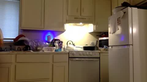 Snapshot of twinandlea chatting on 12.21.25 Twin and Lea online show from 12.21.25