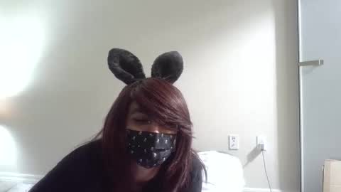 twinkyteddy online show from 10.08.25