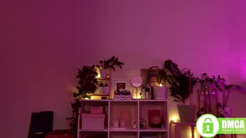 Stranger online show from 12.28.24