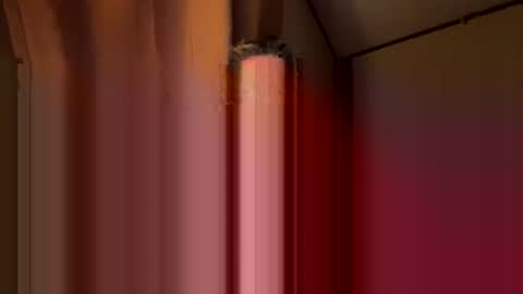 Snapshot of twosmallholes42 chatting on 03.01.26 twosmallholes42 online show from 03.01.26