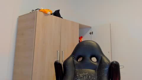     online show from 03.02.25