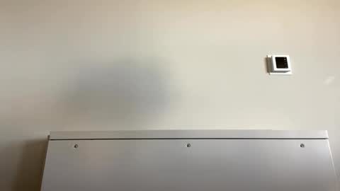 TylerC online show from 09.21.25