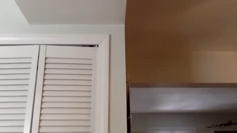 Tyler Durden online show from 02.13.25