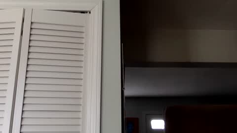 Tyler Durden online show from 03.02.25