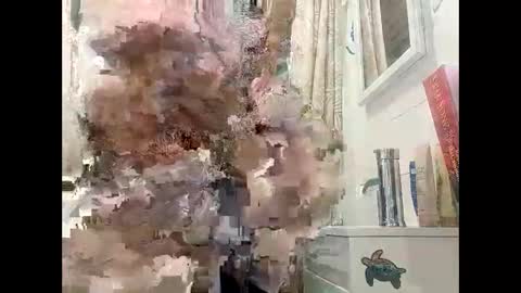 tylerweist727678265 online show from 04.19.26