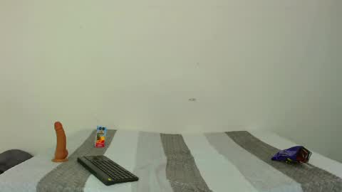 Snapshot of tylor_martinez chatting on 02.01.25 Tylor Martinez online show from 02.01.25