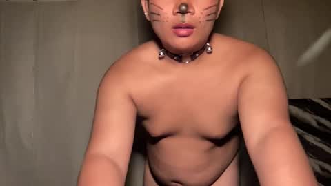 Snapshot of ur_fucking2005 chatting on 04.08.26 DA online show from 04.08.26