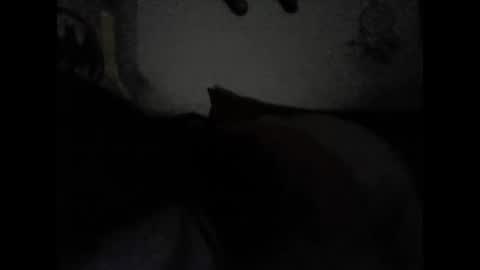 Snapshot of valeria06 chatting on 02.15.25 Valeria online show from 02.15.25