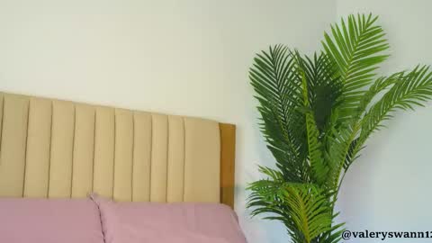 Snapshot of valery_swan1 chatting on 02.11.26 Valery swan1 online show from 02.11.26