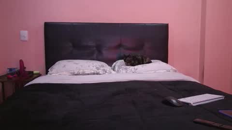 Vamp Noah and Dan online show from 02.11.26