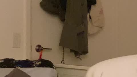 Vanessa  online show from 12.24.24