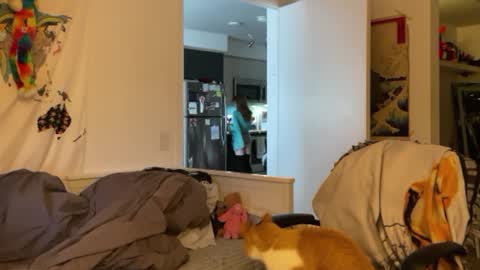 Vanessa  online show from 01.04.25