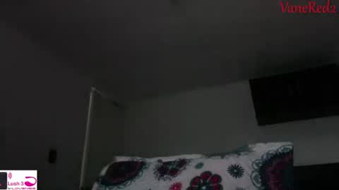 Snapshot of vanessared2 chatting on 09.14.25 Vanesared2 online show from 09.14.25