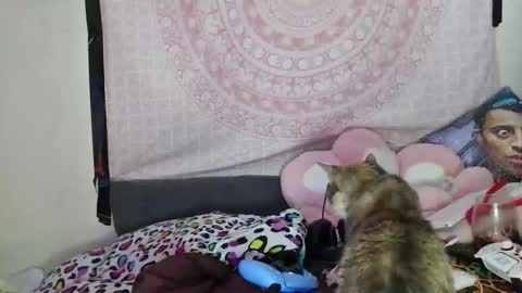 Veronica Lehane online show from 12.10.24