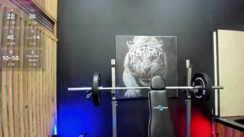 Vello online show from 02.05.26