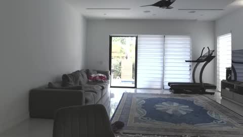 VelvetTGirl online show from 02.21.26