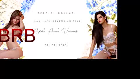 VENUS online show from 01.31.26