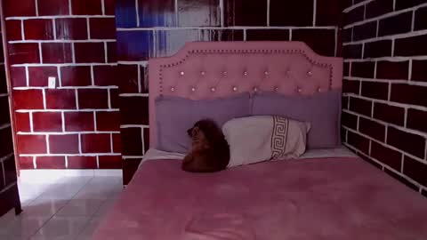 Snapshot of venus_megan chatting on 03.08.25 emily independent account  MY conextion 1100 GTM  to  17hr GTM online show from 03.08.25