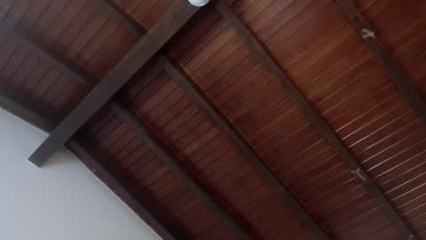 Venus Evans online show from 02.04.25