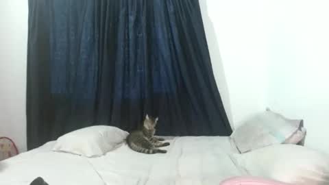 veronicagracia2531 online show from 11.17.25