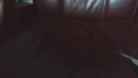 Snapshot of verylittletiny chatting on 04.20.26 Erik online show from 04.20.26