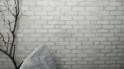 Snapshot of veryveryshygirl chatting on 01.23.25 Ana online show from 01.23.25