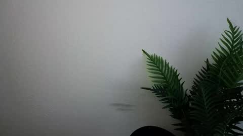 Snapshot of veryveryshygirl chatting on 09.30.25 Ana online show from 09.30.25