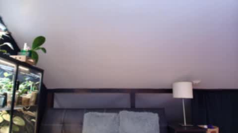 vevelicious online show from 05.02.26