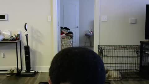 victoryd007 online show from 01.16.25