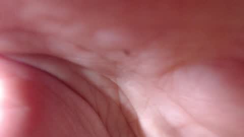 VictoryVega online show from 09.11.25