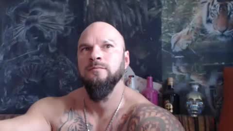 viking online show from 11.07.25