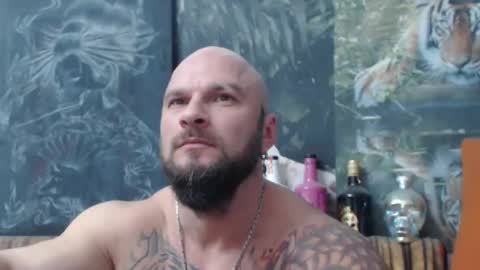 viking online show from 11.08.25