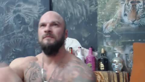 viking online show from 11.15.25