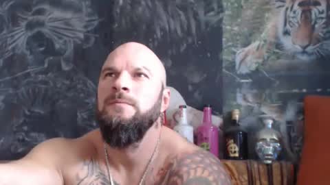 viking online show from 11.18.25