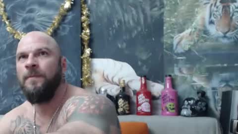 viking online show from 02.24.26