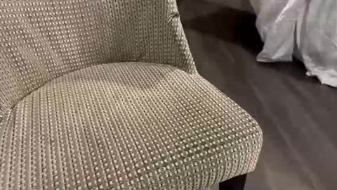 Snapshot of vincent_cb chatting on 11.27.25 vincent_cb online show from 11.27.25