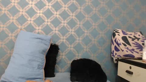 Violeta  online show from 12.18.24