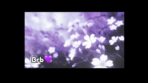 Violeta online show from 03.08.25