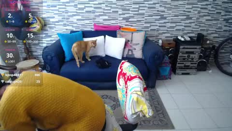 Violeta Gmez online show from 04.01.26