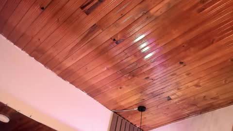 Violet online show from 03.28.26