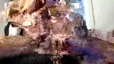 horny guy online show from 05.29.26