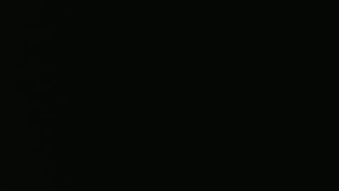 Vivian online show from 12.21.24